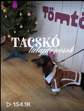 Takács Éva portfolio